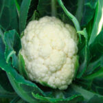 BNW9lTGX6hiMqqow9OHBL9DHVdwMVgCZ300_300-1