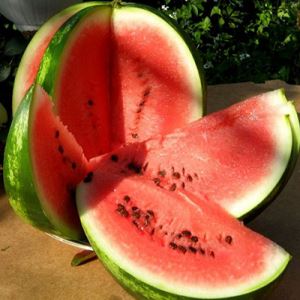 Bhw7yJKkIe5YTLF8AImlXllhzNzCnqgZ300_300-1