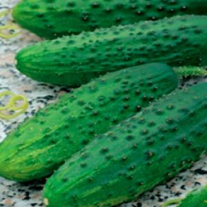 CONQ6Vuzlje8iTiRPtu0wxvKc8nL0eOk300_300-1