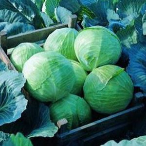 Cth8O17YOKdqPU8kCyluQUeRZqdsggJq300_300-1