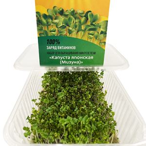 Ctr8aQ9tmI3I0TlmT4XEkbEVMIahHITH300_300-1