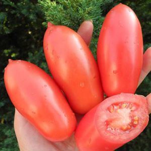 DTkdILGx5Q8lU1XVT7FI947jX8YC22Xq300_300-1