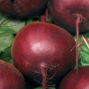 DXkGfnCHQ1qjj86NtJjmsEvZZR8xw01K300_300-1