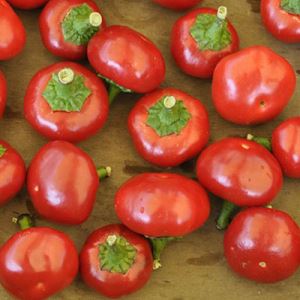 DjiOOQWh9LcUswfBBlS03UuQysGhofeJ300_300-1