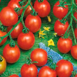 EL1mpsHJdktvsWiNjCSbsYJylZsI43ep300_300-1