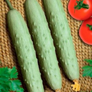 El936opr4lxxRbDklHgMlyGkxcfSVfH3300_300-1