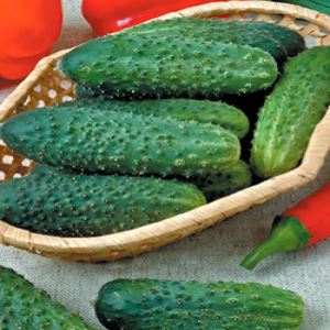 FShan1tqSp5r93jdnqcvryaUSKHFMACs300_300-1