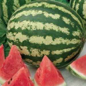 FdoK765YkeXely2fIK8AuBvNRuP8n0pQ300_300-1