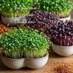 FfYoWkvXmb1ZTLazgrZSEDtudn8Dzokt300_300-1