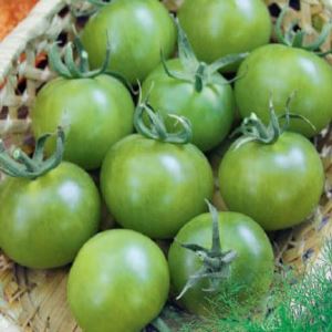 FuK0kmZQUv1vemISAx0J7TVHZTV4ogsK300_300-1