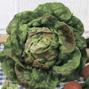 GAzDz91xIszDRiIHF9oFpXSM50LS1lsE