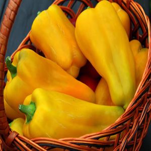 GIMIOJC1AWY7BBakgrgu9HZpjLHBY66T300_300-1