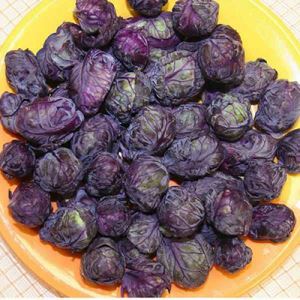 HBvbDHrl7xHfOadiM3z8M6GvEFrrP8R5300_300-1