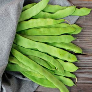 HqFMHhTO6BmbNFNboXHcK7wcmiUZOiw9300_300-1