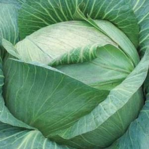 HzreI7aa0cFNRm9bBXpNkVcW2Dn55H1D300_300-1