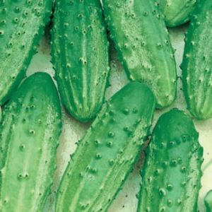 I4DeF9RvngnIgXoYwgokY7ECQJvMgoFM300_300-1