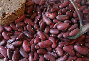 I7oXQ8u5rCXnDdulV8xNcjUJZT2UYTuS