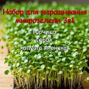 IJ5QmSP6hDfYIDUOVF9WYuBAf4AfQZ9f