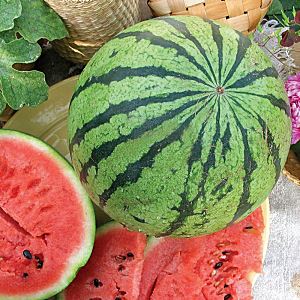 IR8Ejzn8NyBJqWMG2iH92vQtVqgmkqcQ300_300-1