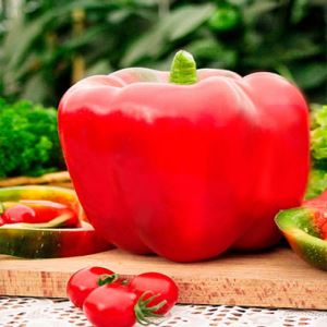 IRK4lr3oGvNgdxI5jvpzRhDK4ujMgg8i300_300-1