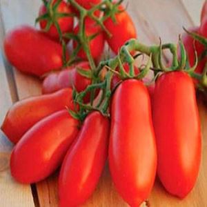 IYyKR9sG7bamh5JhisAdARZMf7Neaeto300_300-1