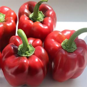 IkdZjaFozGPYgMbXF6IwOQKEJJmiCeOo300_300-1