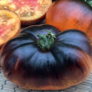 JdZE6uSpqwkGmO3B0hqK6uZj71JBL97j300_300-1