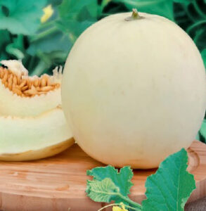 KDrc9nvBWAuJxg5wBde1tYUxnOYE8A8D