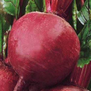 KMvrZAfn0fMTH15eHTB4rXBbIBn3FmrR300_300-1