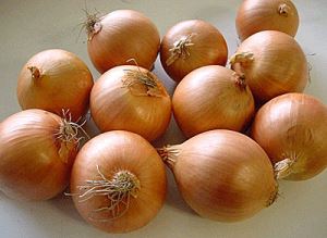 MToQUhNL8B89U0waZR7fJWI5825hi0Tg300_300-1