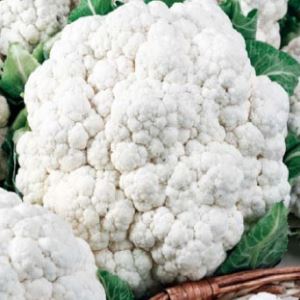 MZ8DswwMMkgrO1EtDOjUrT6SzEOUGHgF300_300-1