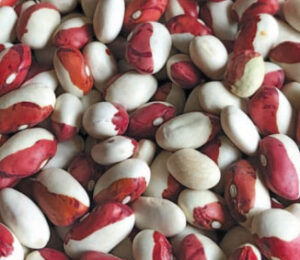 NN50MUdDwH3mcSfQ9GFfaEIO7xnPIeWq