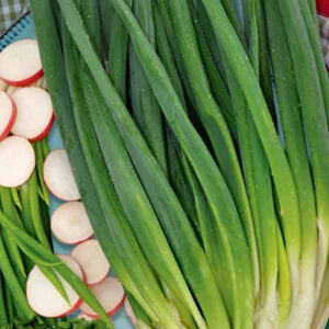 NWUa8bZYViAgbf4Gaz1RT3ybmQKl0BNa