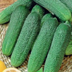 O5pNpvRf3dPgcbY94stCwHpJQQNajaAs300_300-1