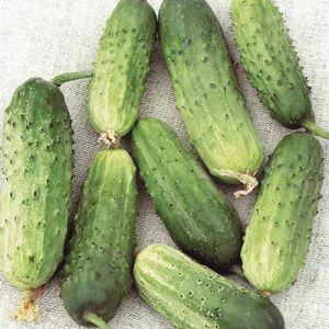 P6AhVITJ6aGCGBExi6A7hyZdQEAhPyOV300_300-1