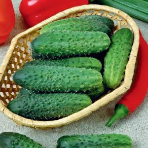 PBeooxdxPhQVd4RbOtSwUJ2jgqJxMc2D300_300-1