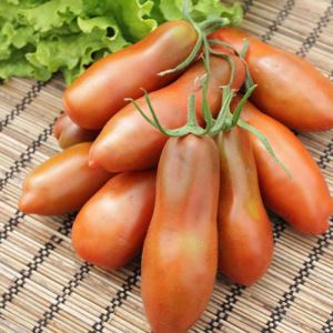 PILpz2FVM4wbW2m6RffW5o0Ckew8rVdC300_300-1