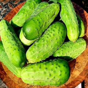 PKZ3ubGMU9MEaNMKZOhj6Pn6y9RVq5zJ300_300-1