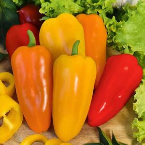 PpyKasiIXd7HnLGldMwQcNxcw9qLEb3B300_300-1