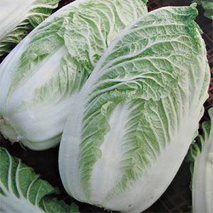 QGu4soqrWPrBTeq0Lhl9NrrohJOSEx8X300_300-1