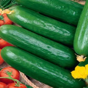 QkjOgGgtYy8WavQZFFbPe6PuwUDl0AFV300_300-1