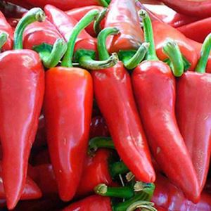 Ru7QgbrrUL9zr7AhKUaROLP1c0wnjiku300_300-1