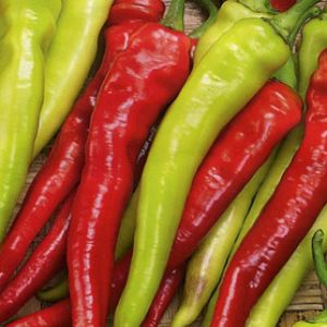 RwrLerxIA4v8UZbYcX4fA32yStZcX7cp300_300-1