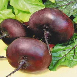 RyqXjEryfhHhwowaHWvoUeyuiihkieRC300_300-1