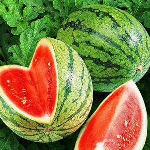 RzHT2GIf6SxNZ0OhWNQ2i45wabz2UbYI300_300-1