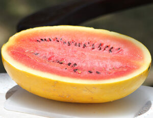 SoMzgTXg8dkd99z4wmsj5TK5qKTrysCW