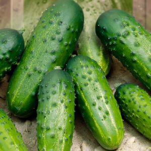 T2DgkfDI1nt56J8wy8yUTnlJrY2ehwMJ