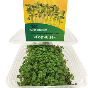 TPbVhdvxevr6vgzKUancwDF5IxhuiFjY300_300-1