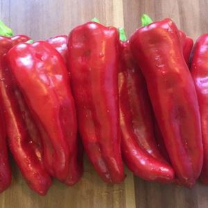 TUf8XP0yJomEc6nPaa4q87qYiZfmyOFZ300_300-1