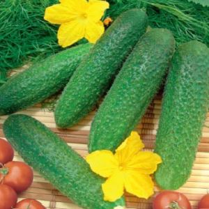 TiwAEaYTEbRF9BItid1tfLDKx9m9IH5c300_300-1